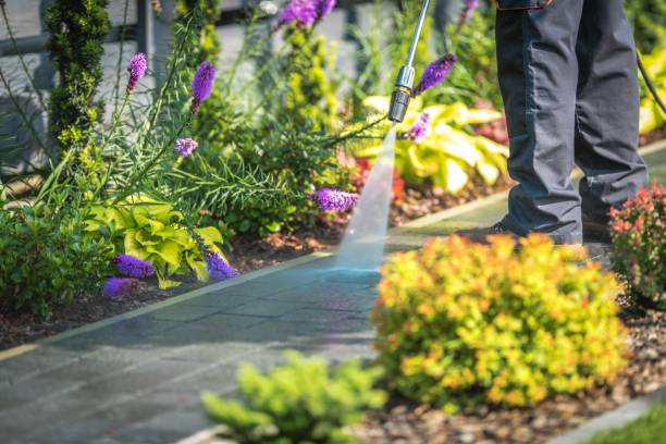 Best Sidewalk and Walkway Cleaning  in Dowagiac, MI