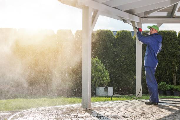 Best Rust Removal  in Dowagiac, MI