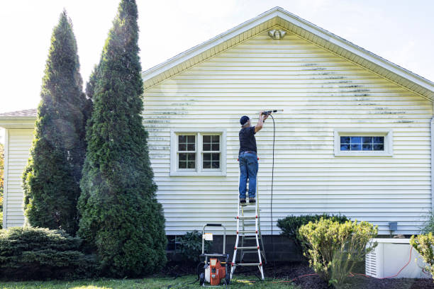 Animal Enclosure Cleaning in Dowagiac, MI