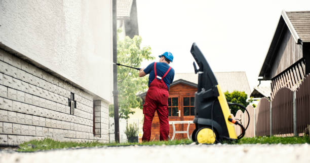 Best Roof Washing  in Dowagiac, MI